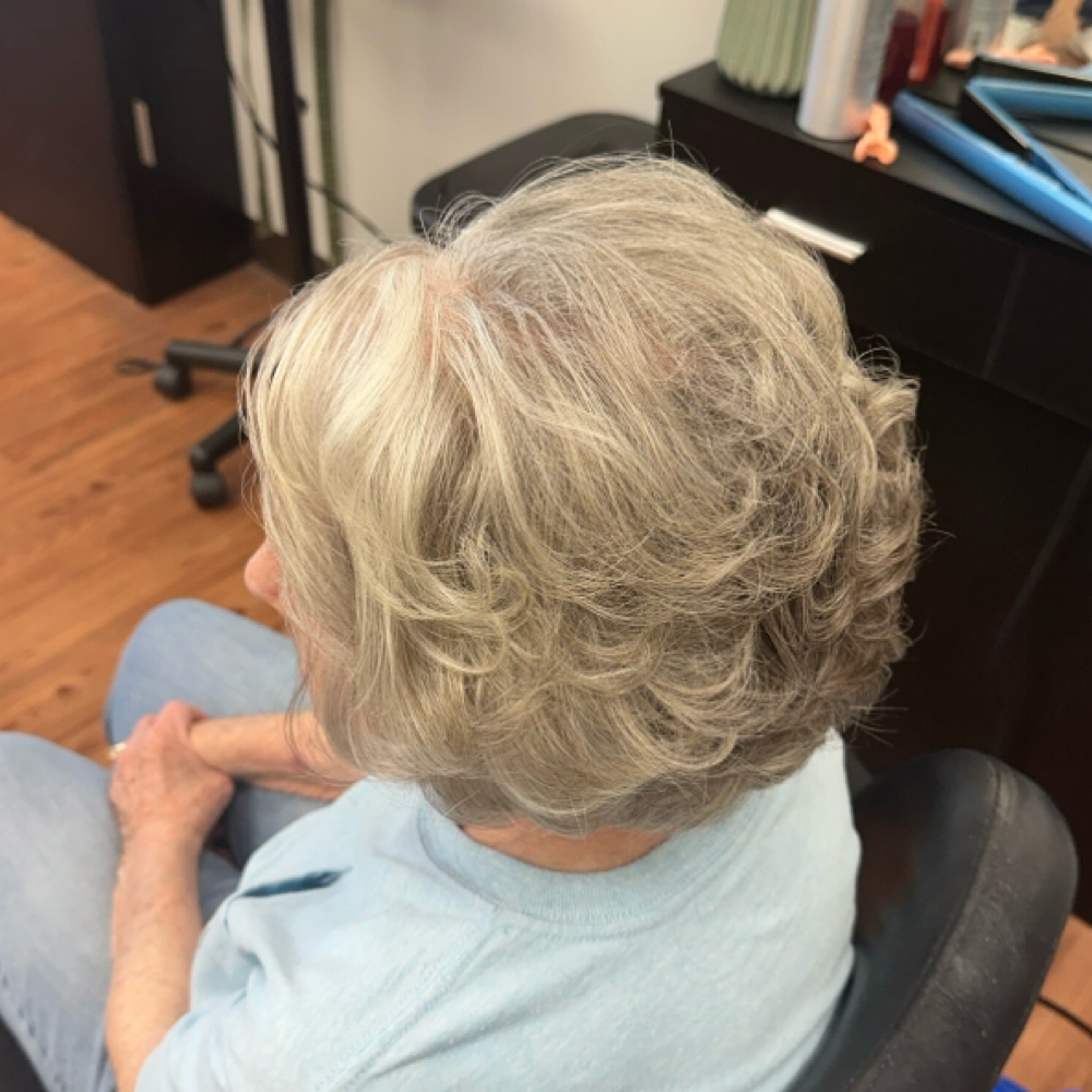 Dry Cut & Style at Sydney Basconi in Beaver, WV