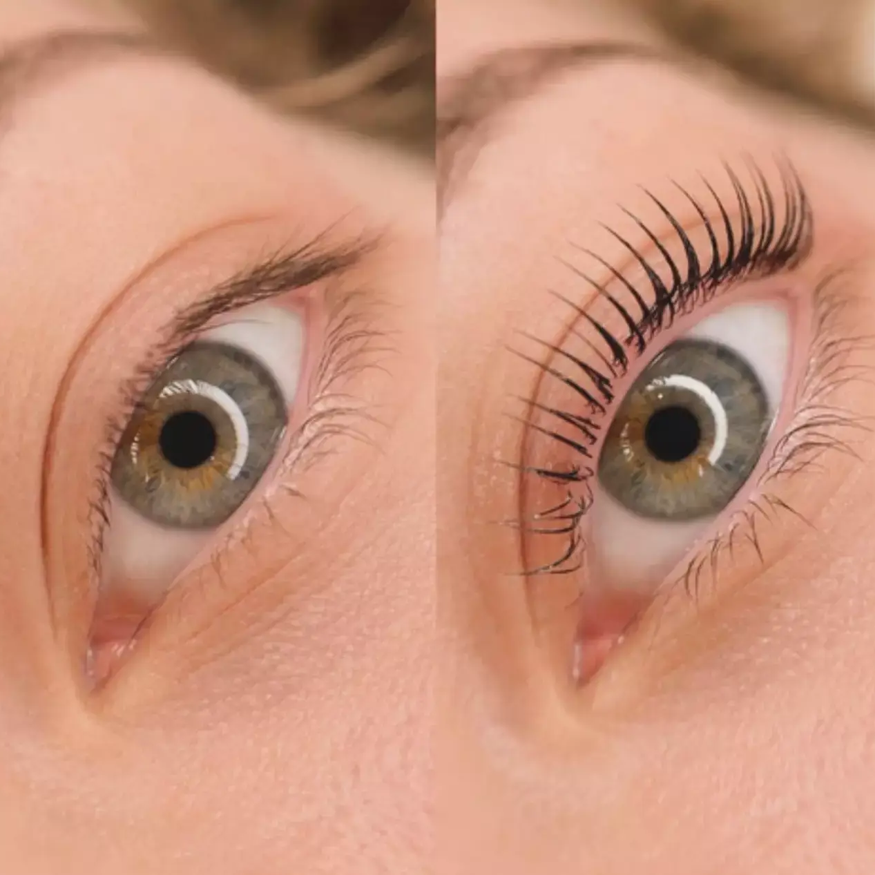 Lash Lift at Wild T Beauty in Pollock, SD