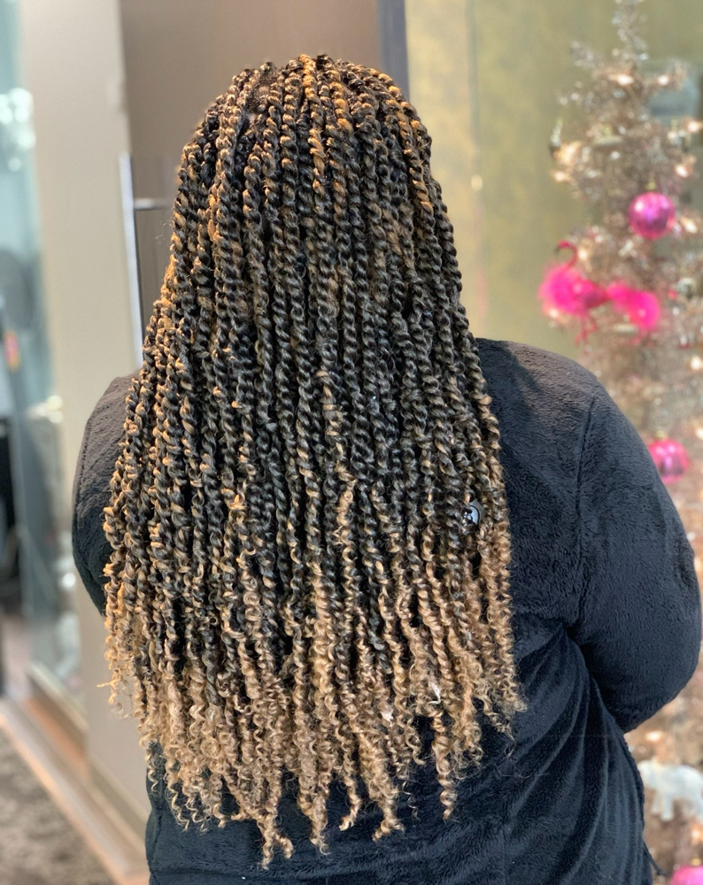Two Strand Twists