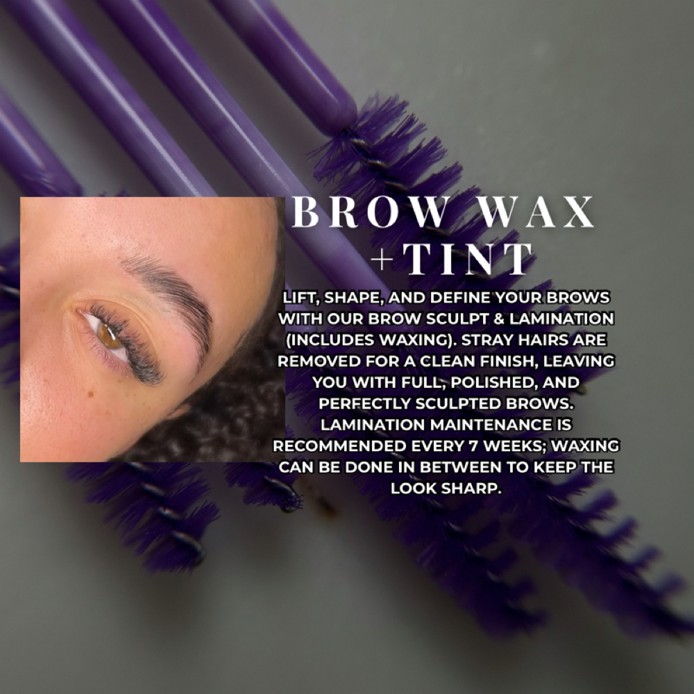 Brow Wax & Tint at The Aurora Effect in Winterhaven, FL
