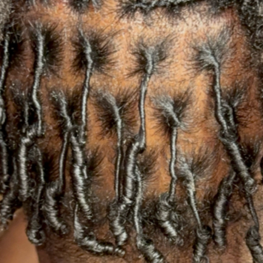 Starter Locs at Luschd in savannah, GA