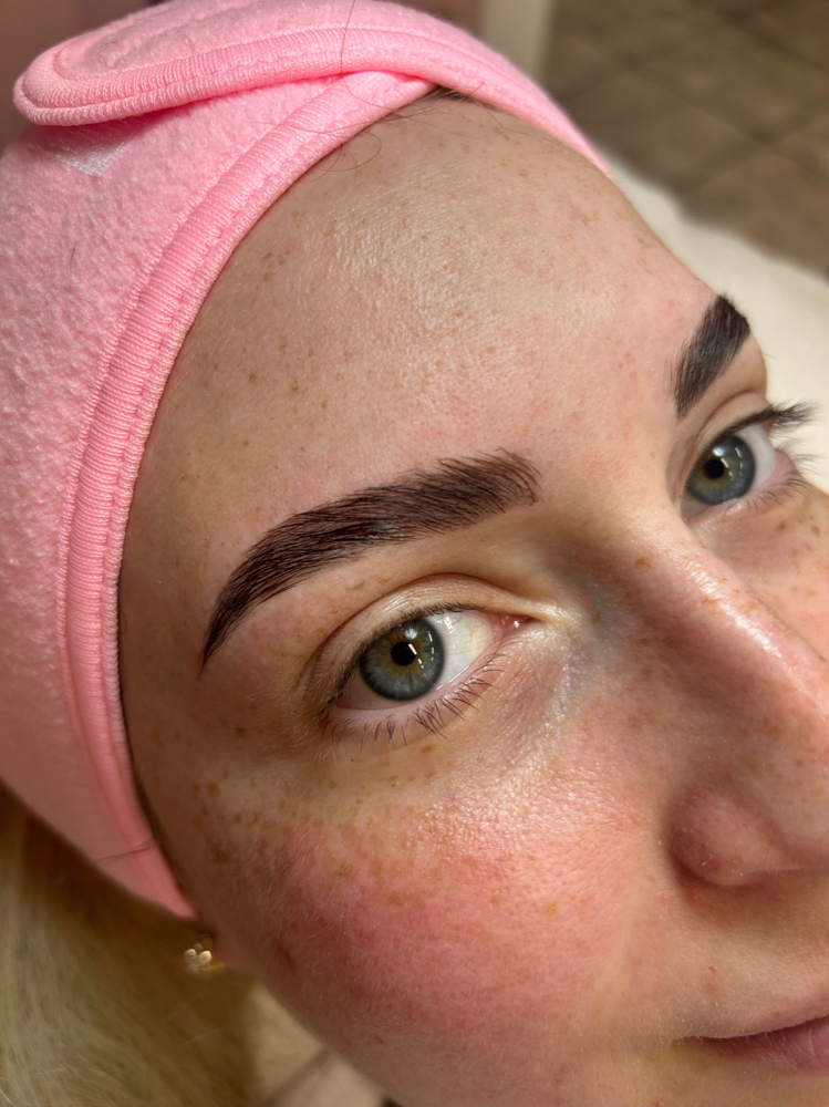 Brows Lamination And Wax + Tint