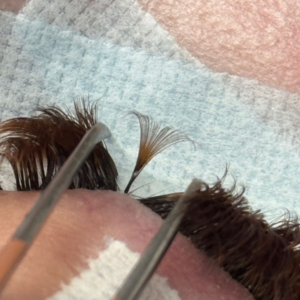 1 Week Fill ( 3-7 Days) at Sincerely Esme in Hanford, CA