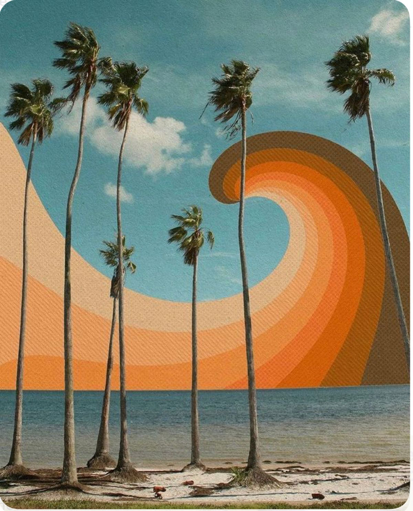 Full Balayage at Mane Evolution Hair in South Pasadena, FL