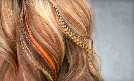 Hair Feathers