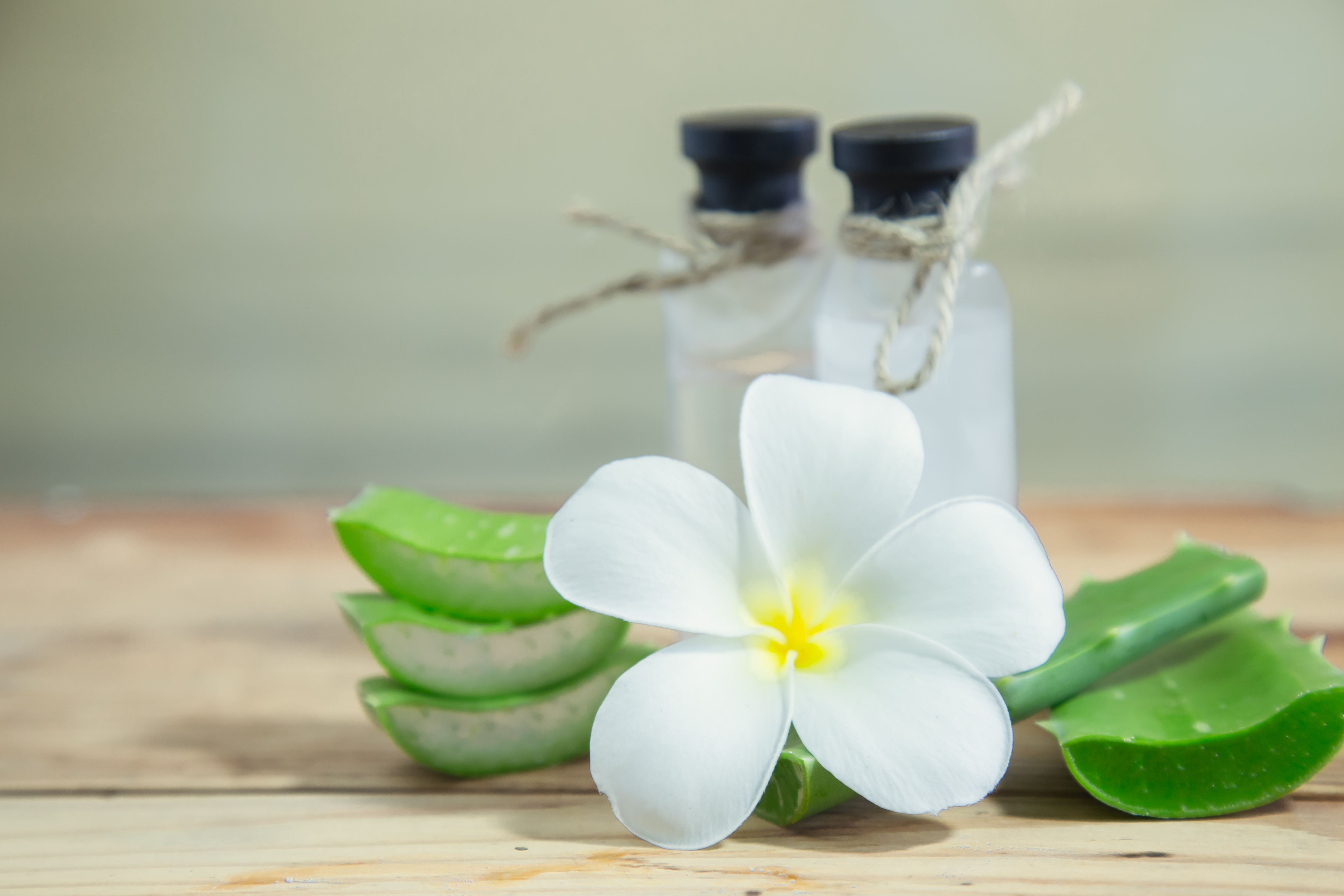 ALOE VERA MEDLEY-Add On at MUDDY  FIGS in Bridgewater, NJ