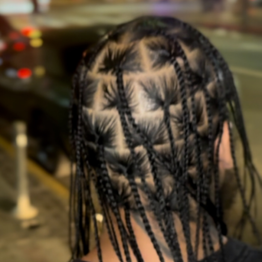 Medium Plaits at Touched by Diana in Hawthorne, CA