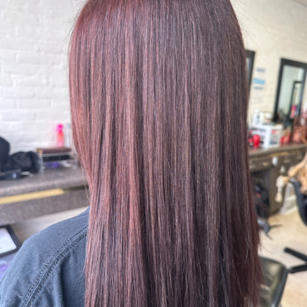 All-Over Color at Ryan Leach in Staunton, VA