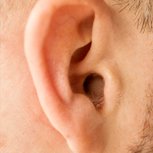 Ear Wax at The Waxing Collective - Home Of The Waxing Experts in San Jose, CA