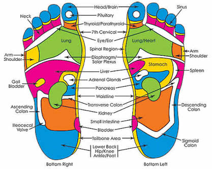Reflexology