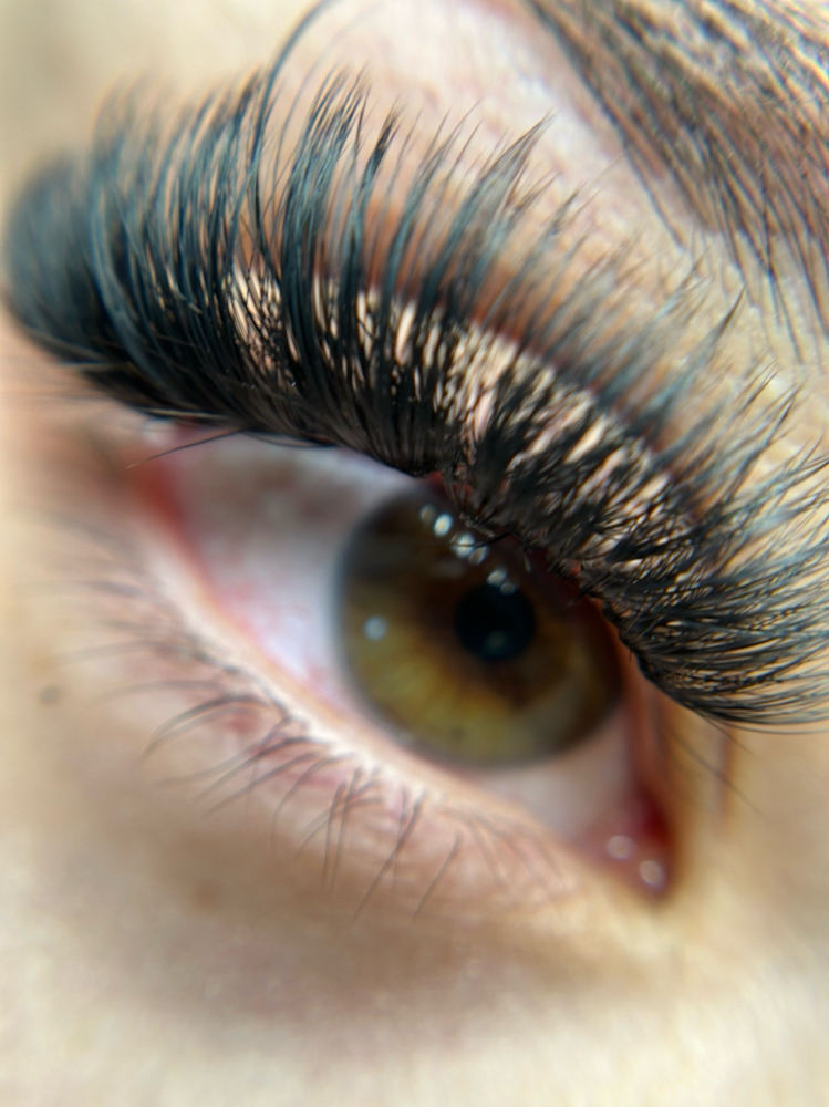 Volume Lashes