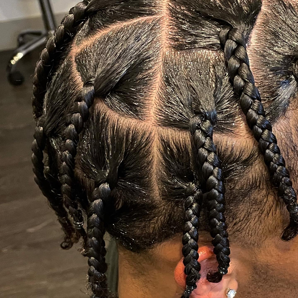 Large Plaits (No Hair Added)