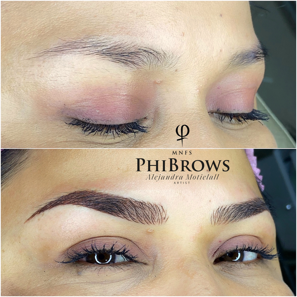 23 - Hybrid Brows