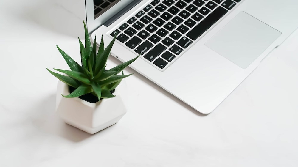 Virtual Consultation (MoN &Tues)