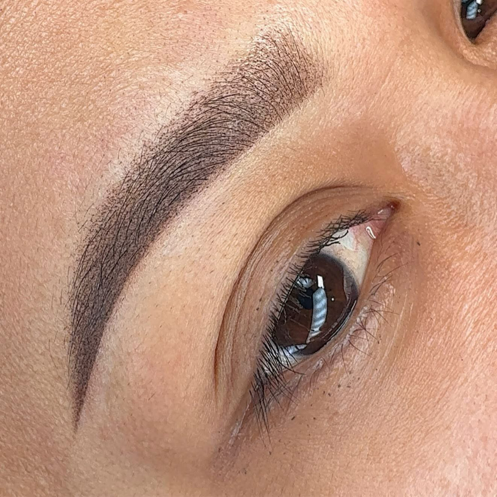BROWS TOUCH UP 3-6 months at AURORABROWS in Cocoa, FL