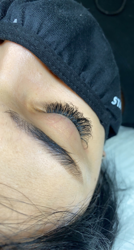 2 Week Classic Fill