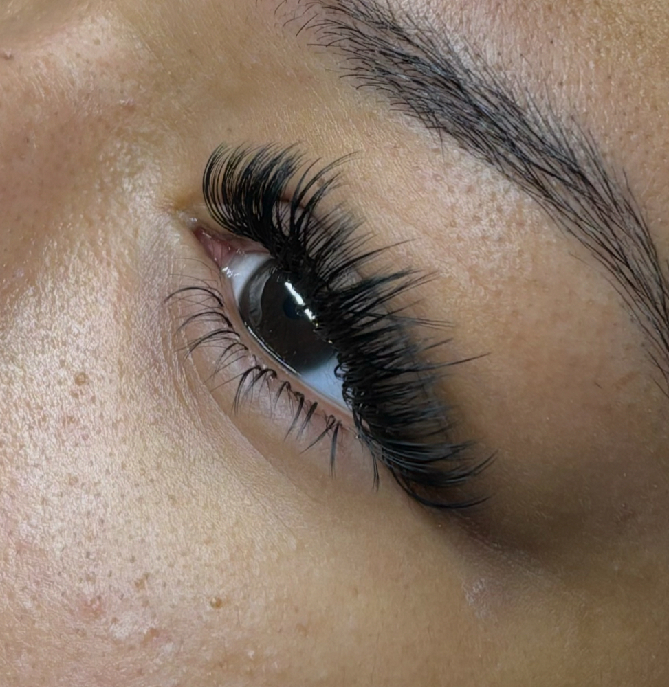 Classic Bottom Lashes