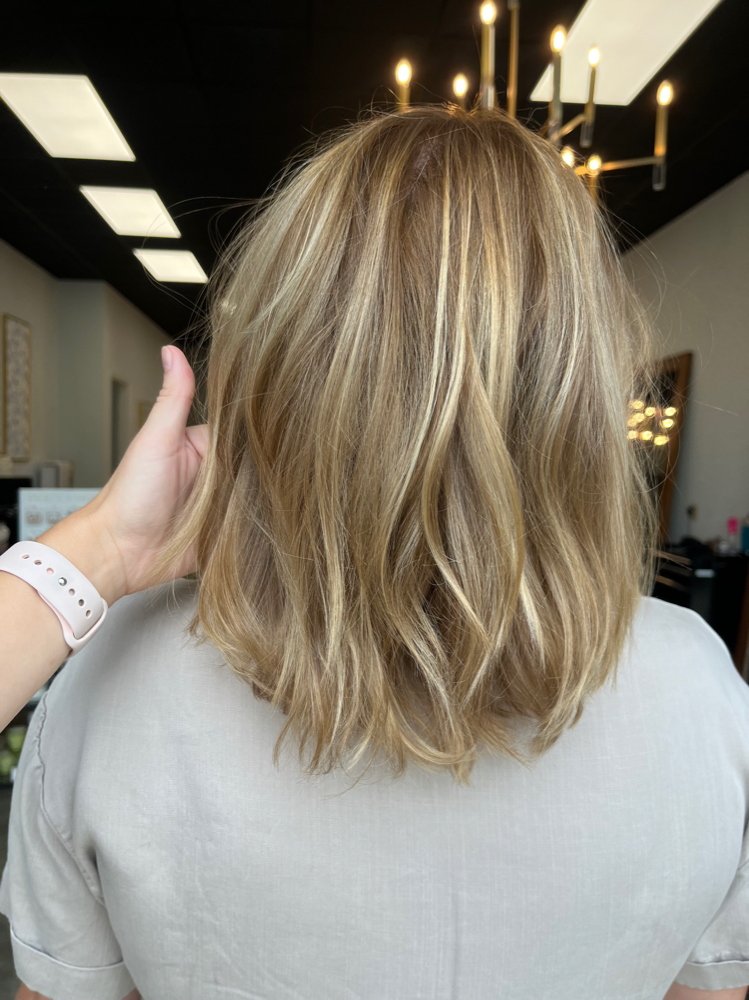 Ladies Dry Haircut
