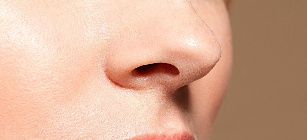 Wax Nose