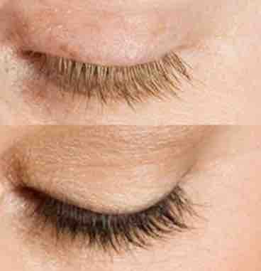 Eyelash Tinting