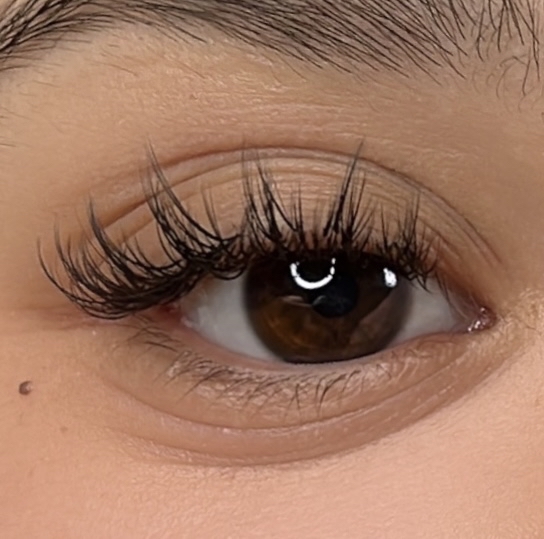anime / manga lash