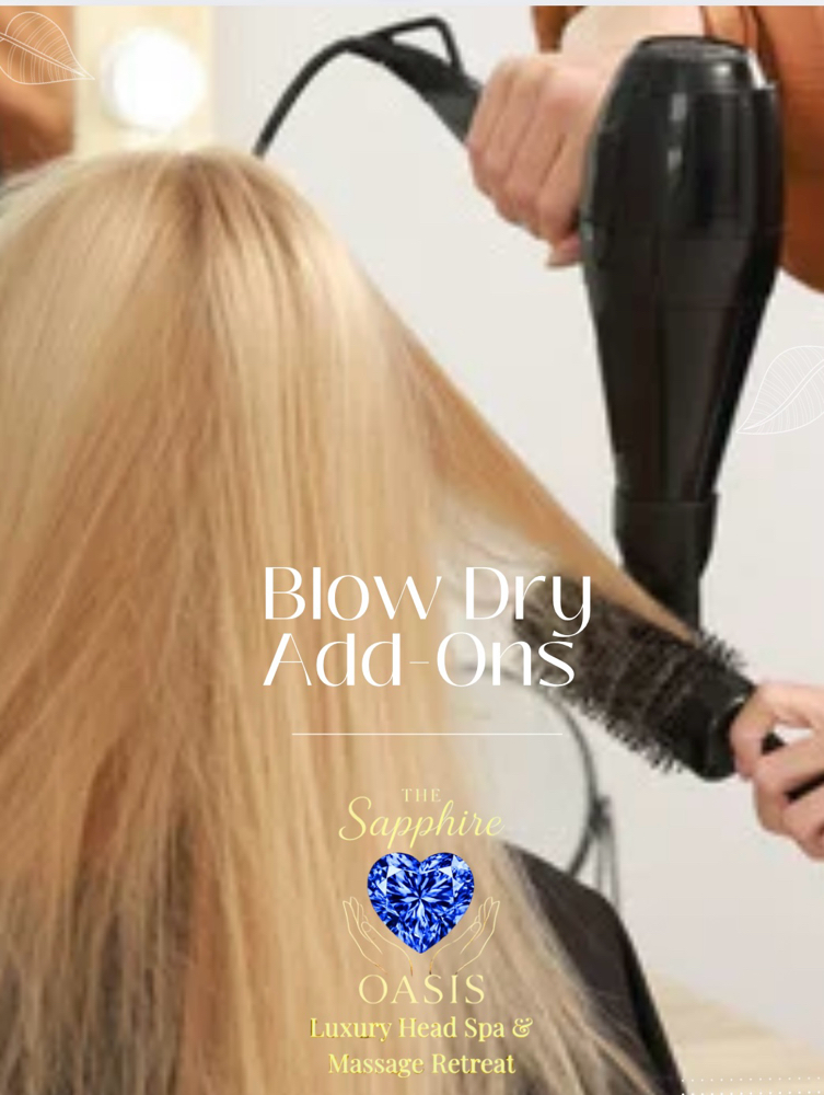 Add On Blow Dry Styles