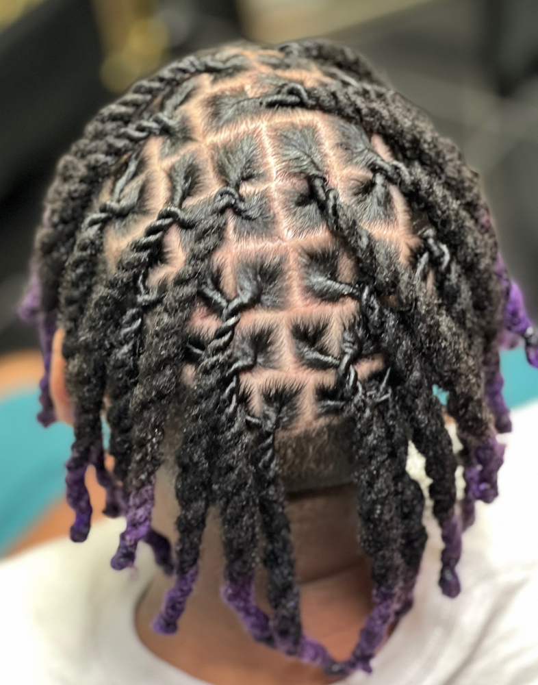 Half Head Retwist + Two-Strands