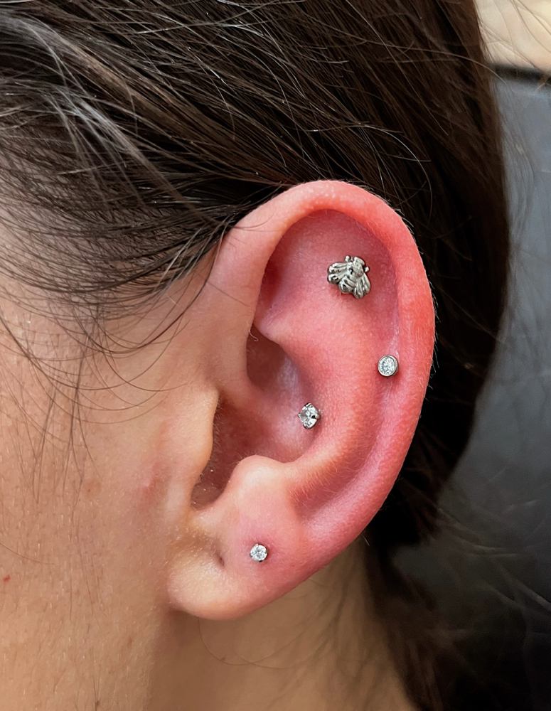 Ear Curation Package
