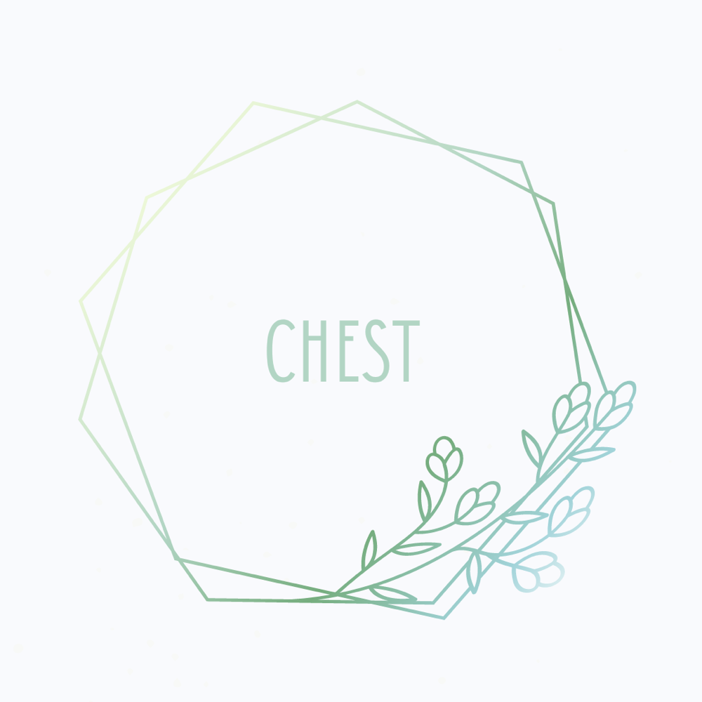 Chest