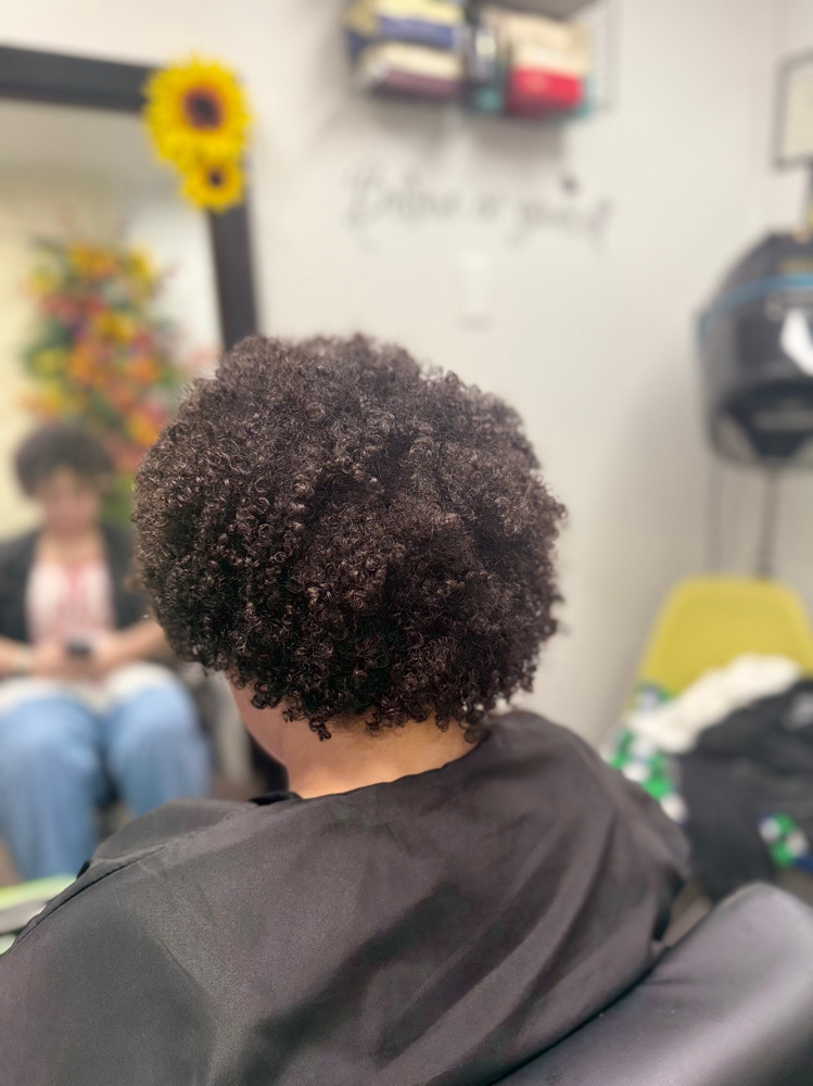 Curly Wash Dry and GO