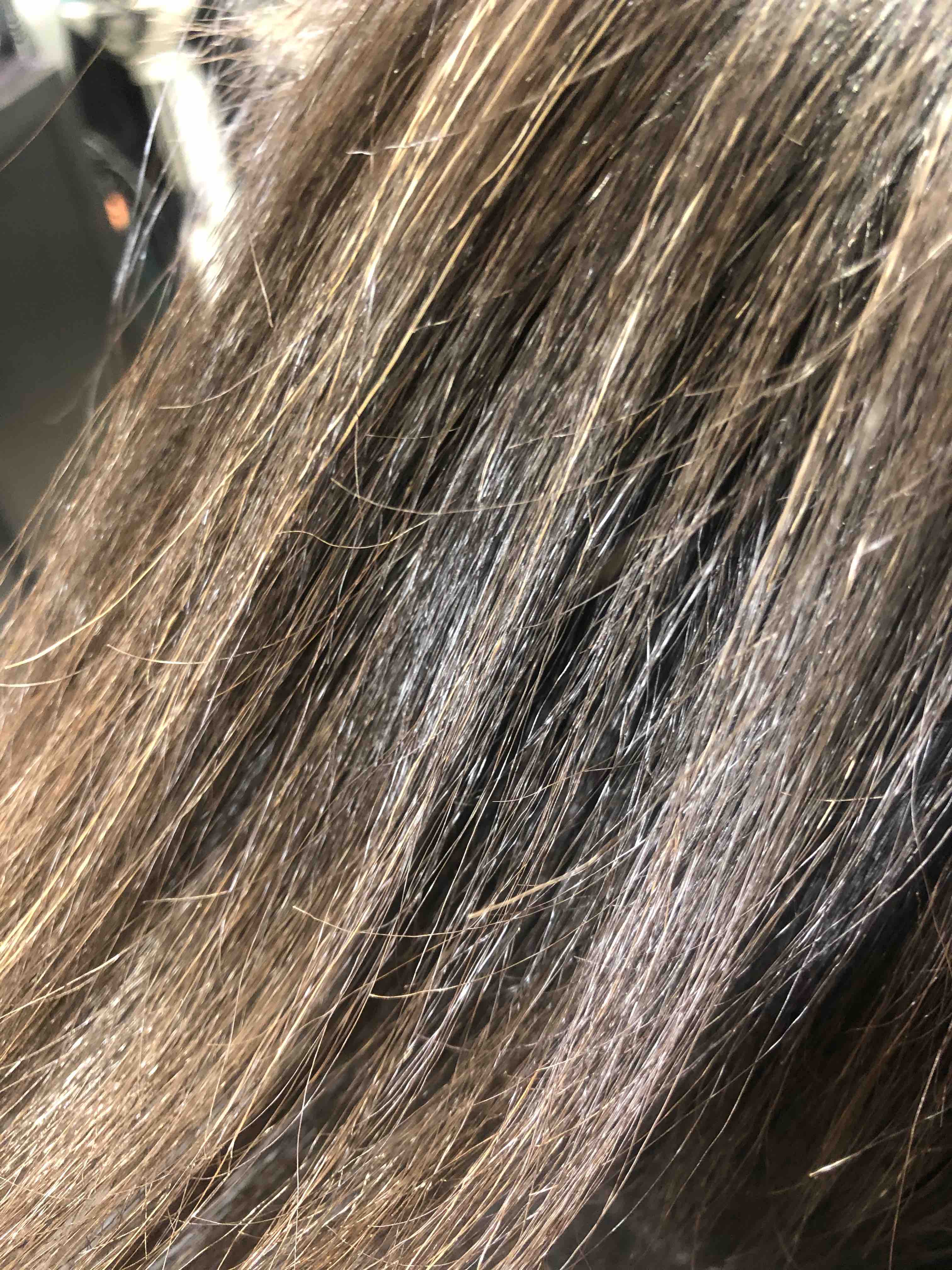 Demi Permanent Gray Coverage