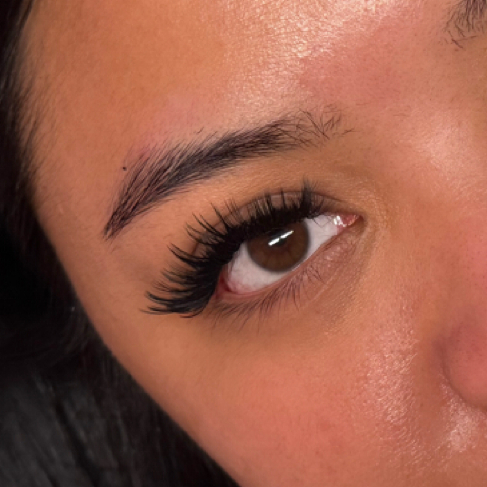 WISPY FULL SETS at Alavez Aesthetics in Vallejo, CA