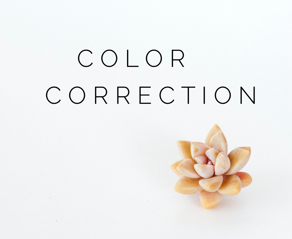 Color Correction: $120/hour