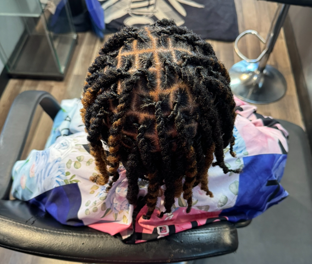 2 Strand Twist