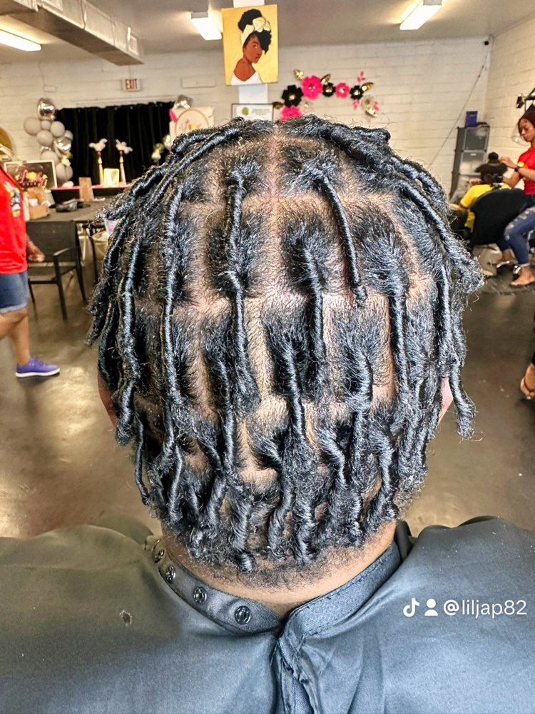 Starter Locs (coils)