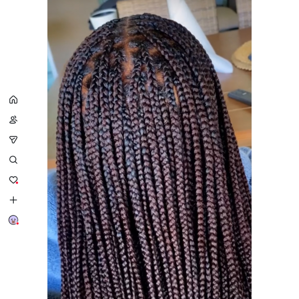 Color 33/ Auburn Brown at H4HH in Oakland, FL
