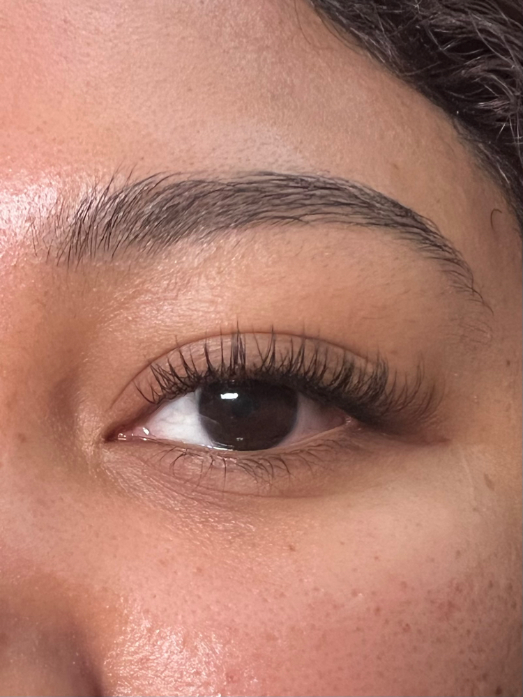 Classic Fill (Exec. $45)