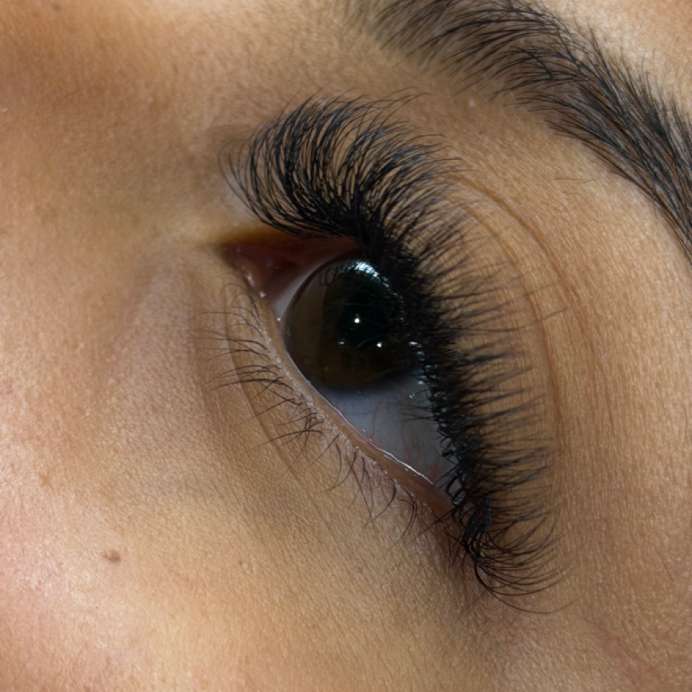 Hybrid Lash Fill In at Lashesbysaletha in Ider, AL