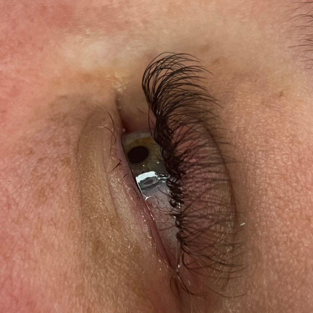 Hybrid Lash Fill In at Lashesbysaletha in Ider, AL