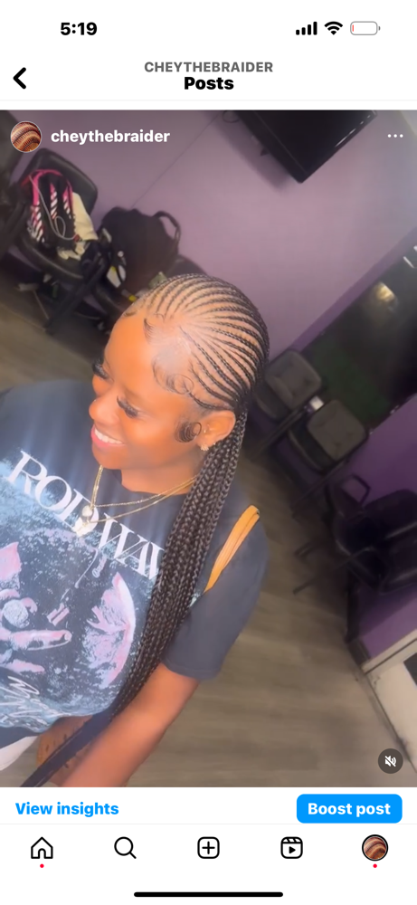 Aaliyah braids (20-30)