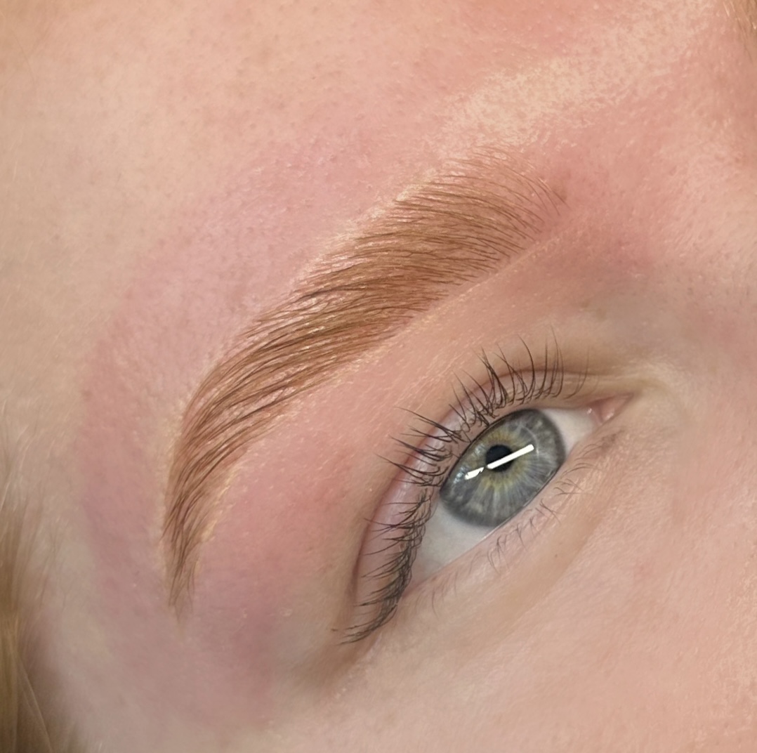 Brow Lamination- NO TINT