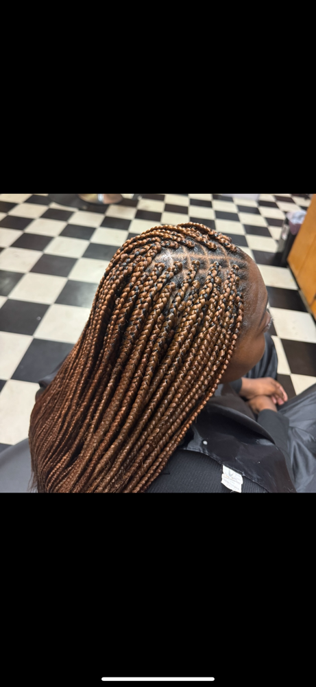 Small Box Braids