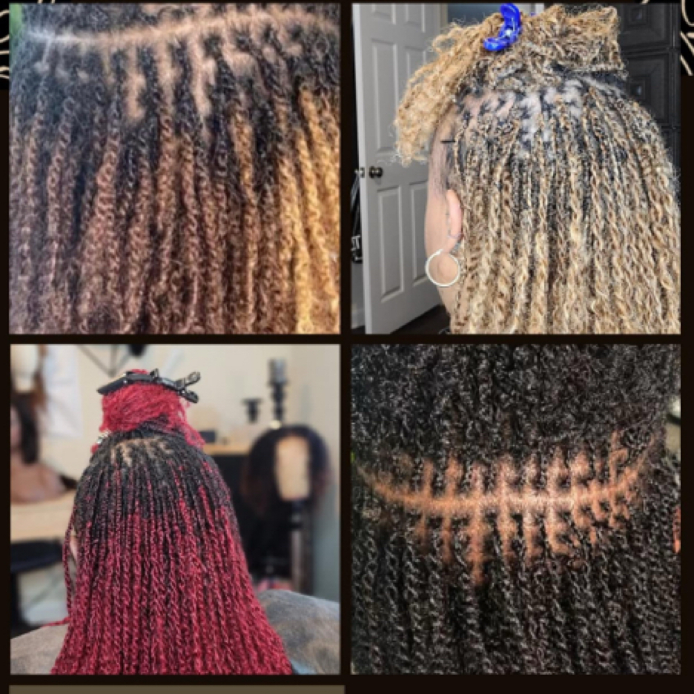 Micro Loc Natural Hair install at A Touch of Class Salon in Anderson Sc, SC