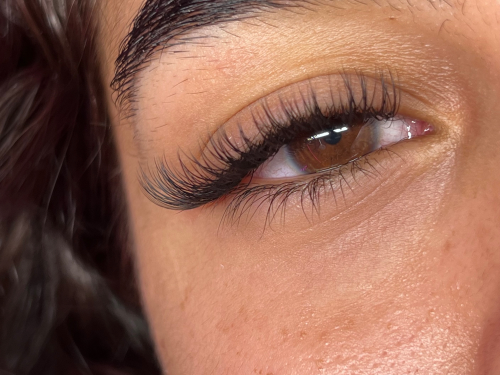 Classic Lashes