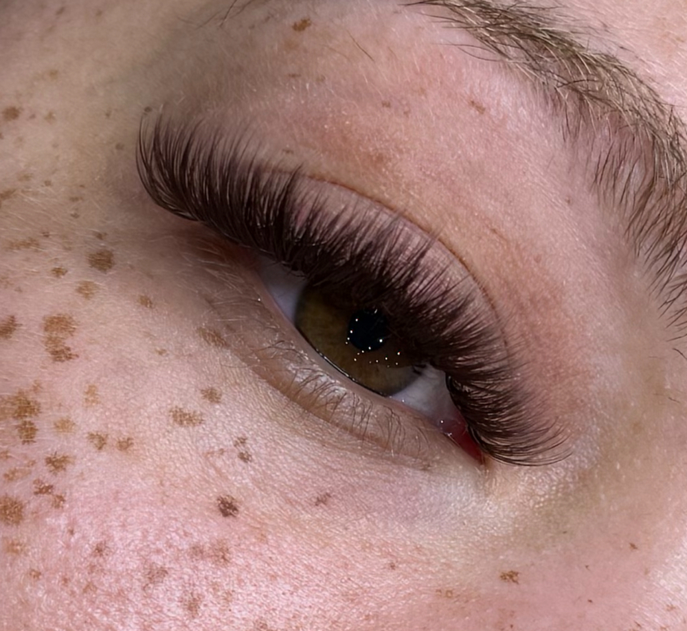 Brown Volume Lashes