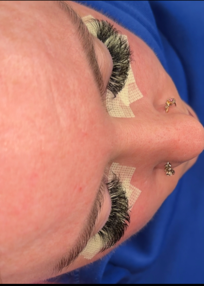 Two week lash fill-in
