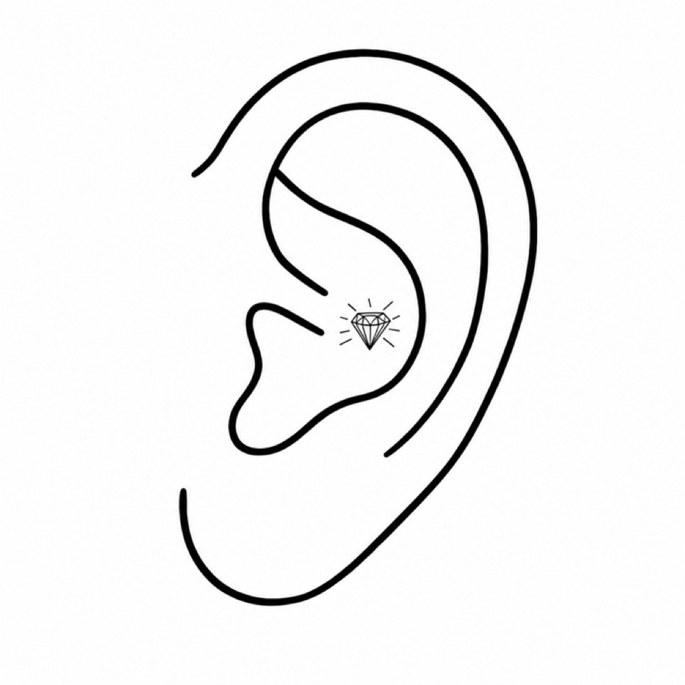 CONCH PIERCING at Golden Hour Cosmetic Tattoo & Piercing in Melbourne, FL