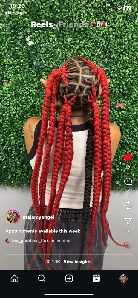 Extended Ponytails On Locs