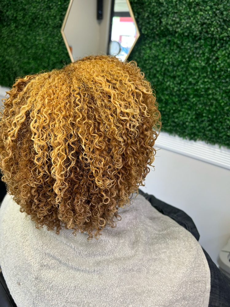 Wash N Go w/ Treatment