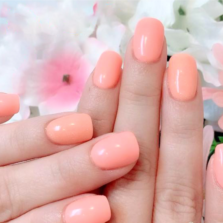 Dip Powder With Tips at Blush Beauty Boutique in Easton, PA